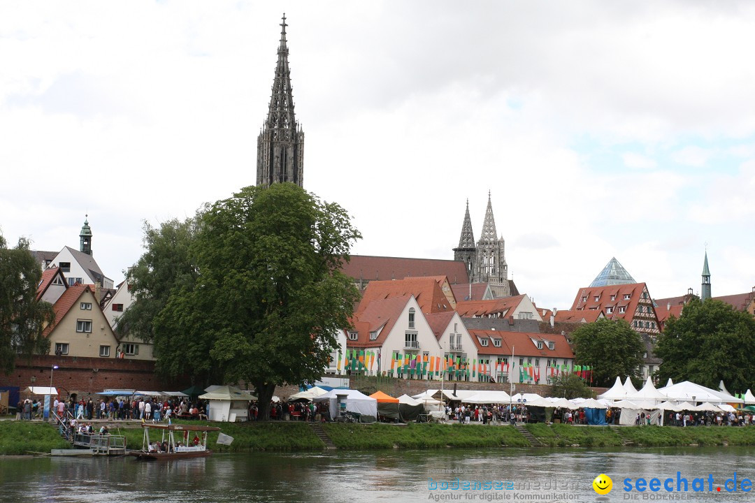 DONAUFEST 2012: Ulm an der Donau, 15.07.2012