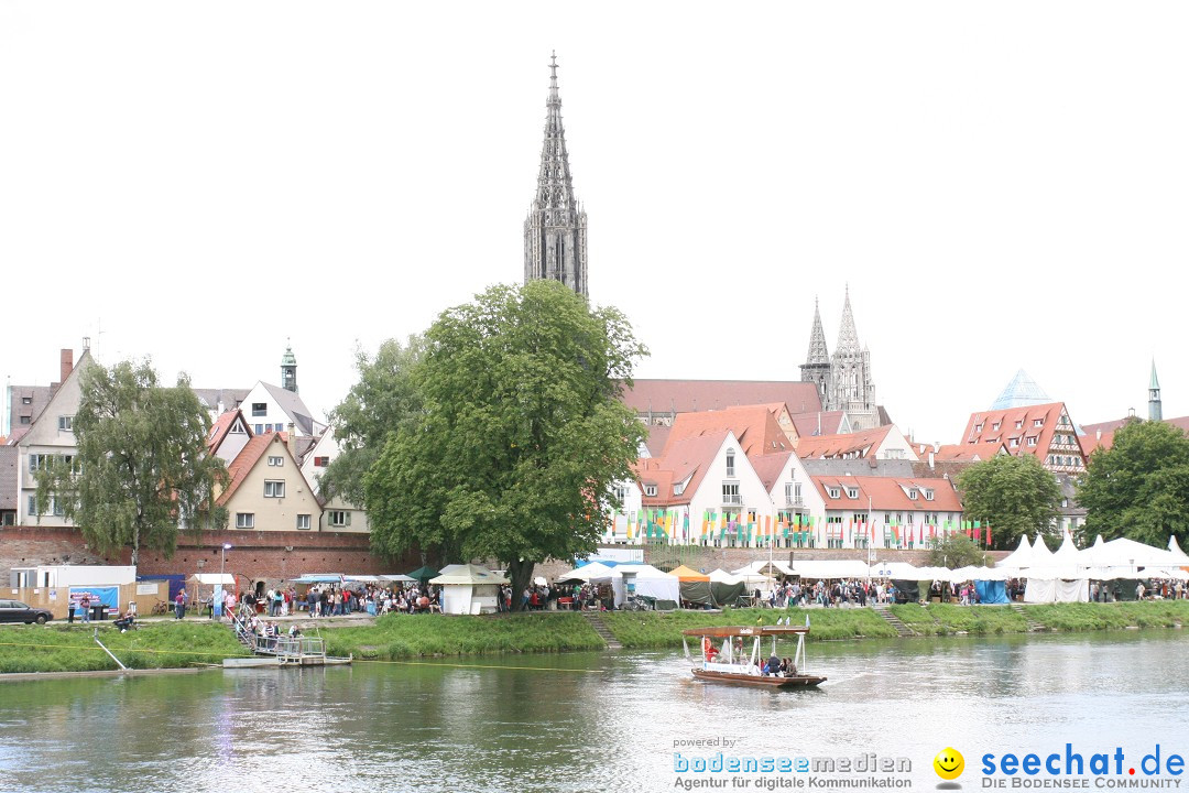 DONAUFEST 2012: Ulm an der Donau, 15.07.2012