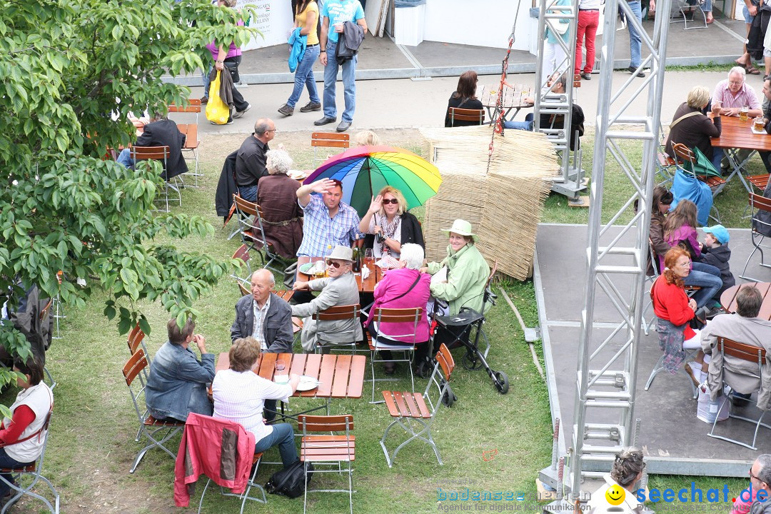 DONAUFEST 2012: Ulm an der Donau, 15.07.2012