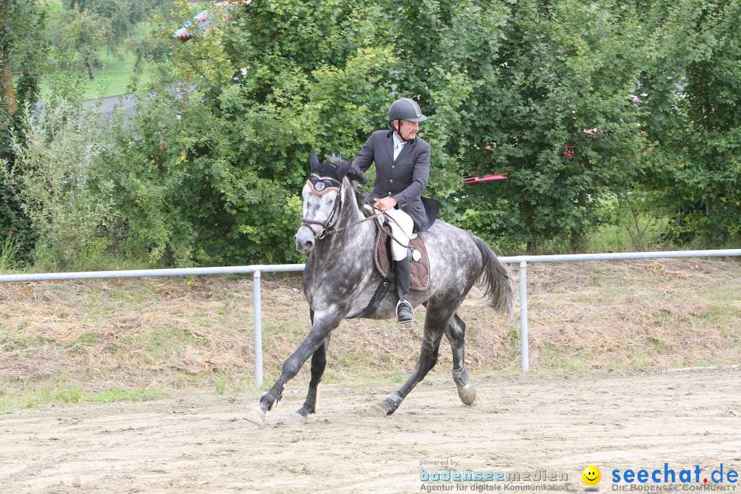 Reitturnier - Reitclub: Wahlwies am Bodensee, 29.07.2012