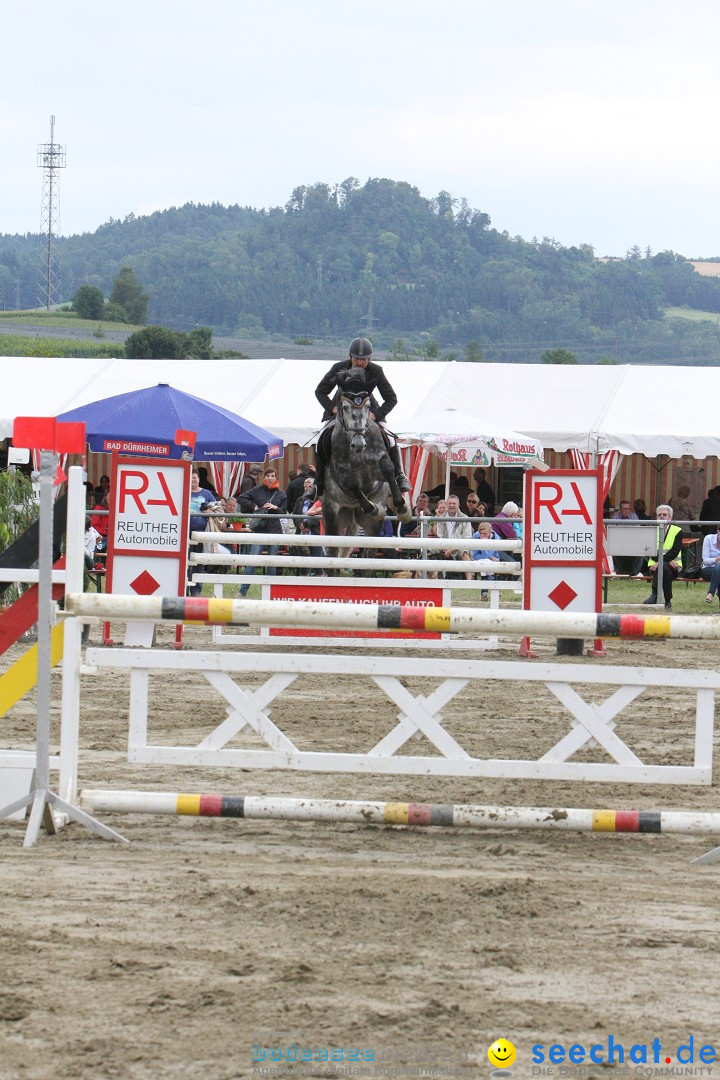 Reitturnier - Reitclub: Wahlwies am Bodensee, 29.07.2012