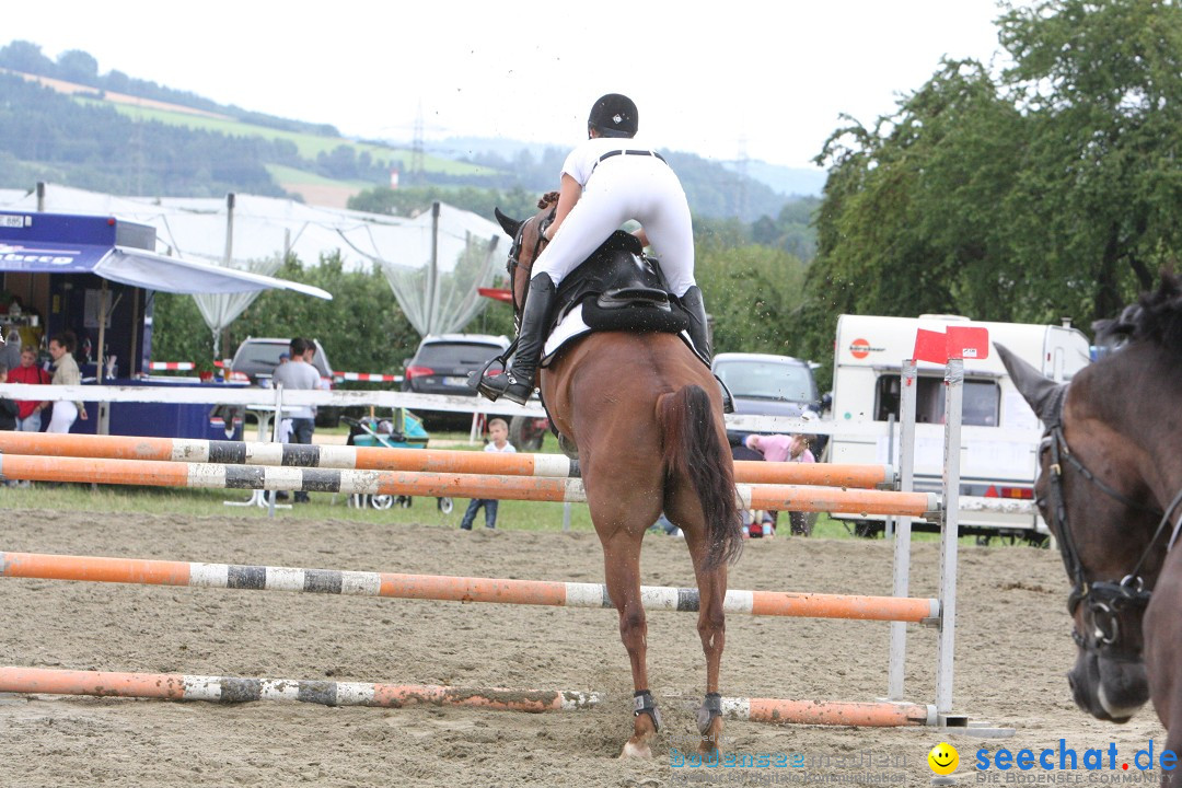 Reitturnier - Reitclub: Wahlwies am Bodensee, 29.07.2012