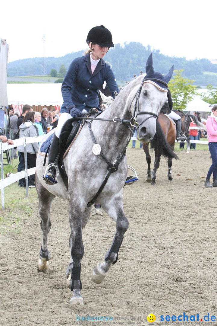 Reitturnier - Reitclub: Wahlwies am Bodensee, 29.07.2012