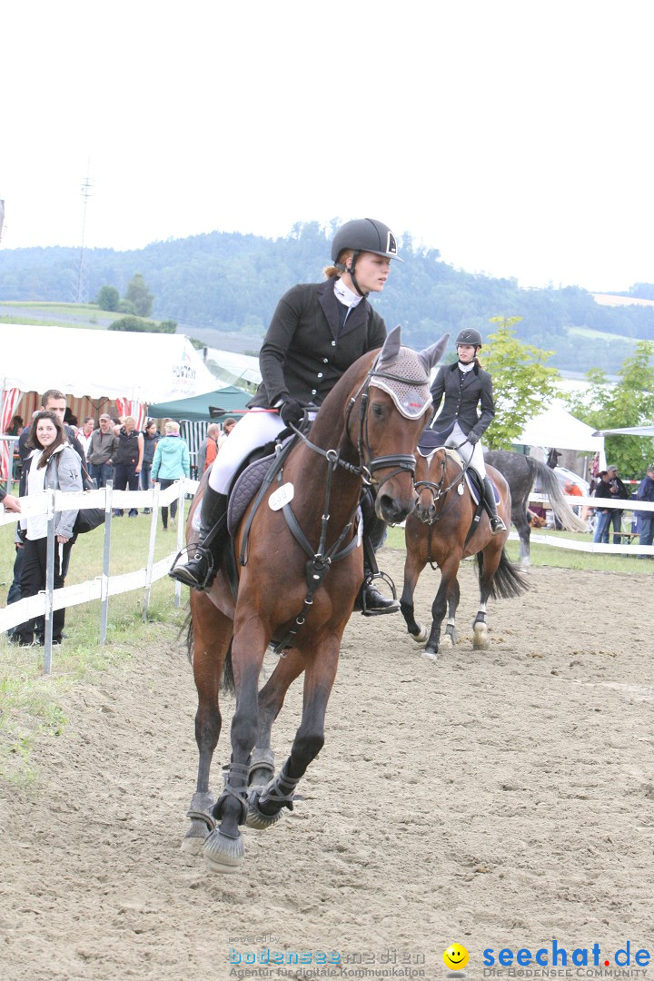 Reitturnier - Reitclub: Wahlwies am Bodensee, 29.07.2012