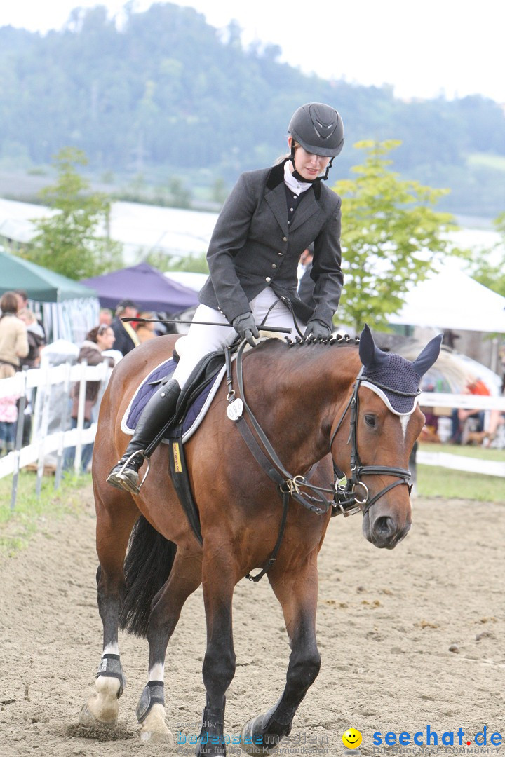 Reitturnier - Reitclub: Wahlwies am Bodensee, 29.07.2012