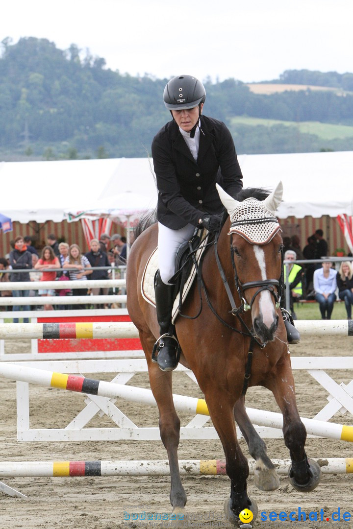 Reitturnier - Reitclub: Wahlwies am Bodensee, 29.07.2012