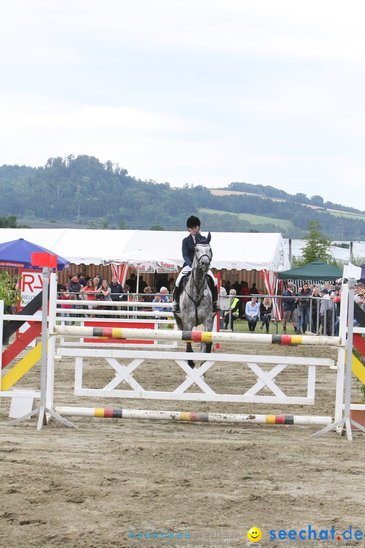 Reitturnier - Reitclub: Wahlwies am Bodensee, 29.07.2012