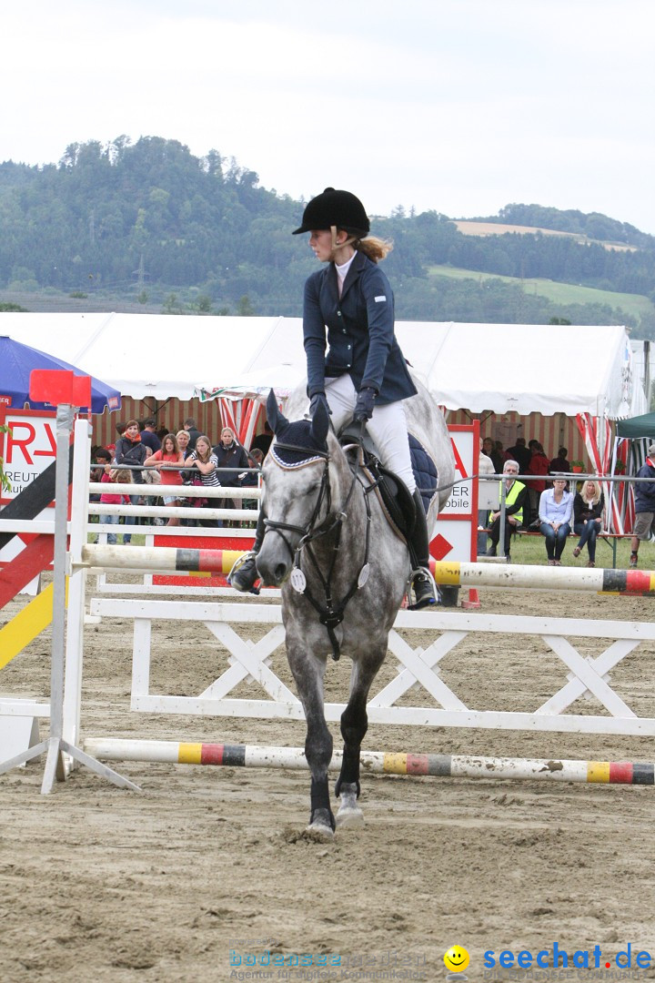 Reitturnier - Reitclub: Wahlwies am Bodensee, 29.07.2012