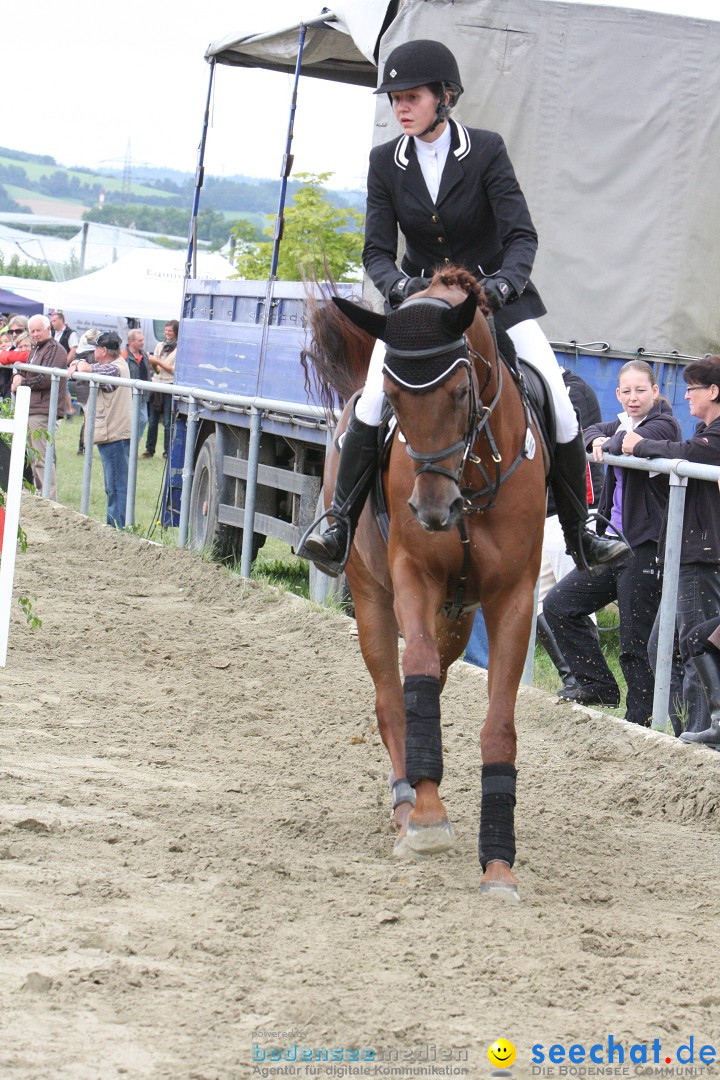 Reitturnier - Reitclub: Wahlwies am Bodensee, 29.07.2012