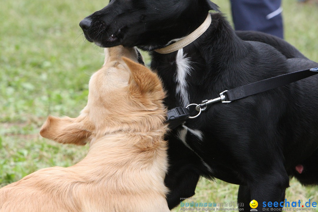 Reitturnier - Reitclub: Wahlwies am Bodensee, 29.07.2012