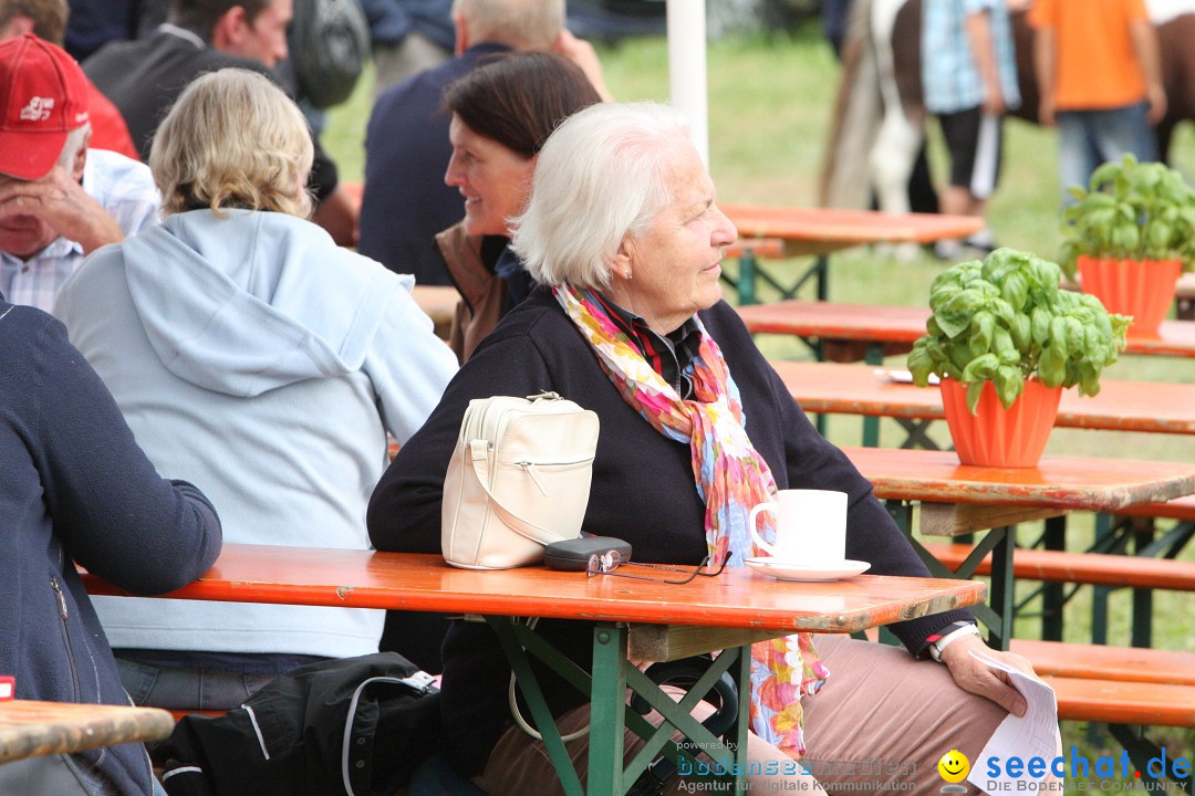 Reitturnier - Reitclub: Wahlwies am Bodensee, 29.07.2012