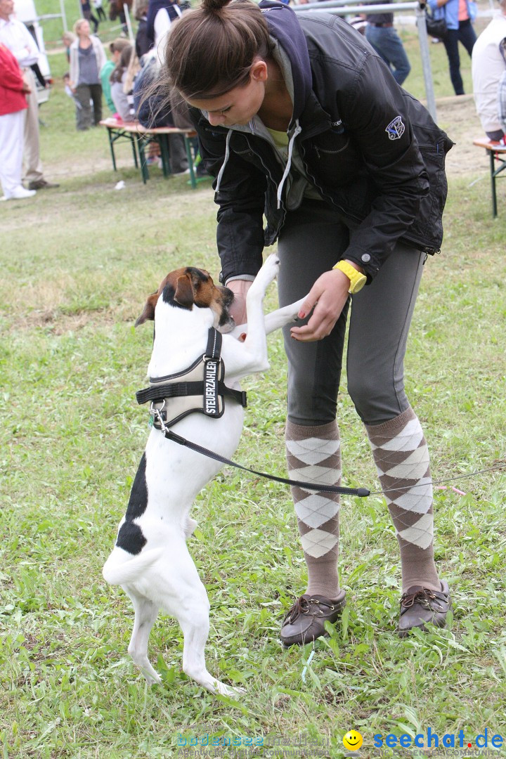 Reitturnier - Reitclub: Wahlwies am Bodensee, 29.07.2012