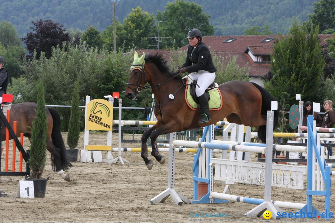 Reitturnier - Reitclub: Wahlwies am Bodensee, 29.07.2012