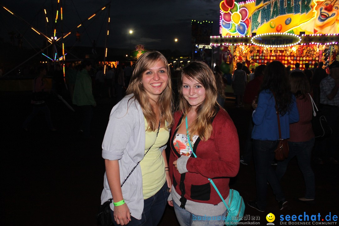 Schlossseefest 2012 mit Feuerwerk: Salem am Bodensee, 28.07.2012