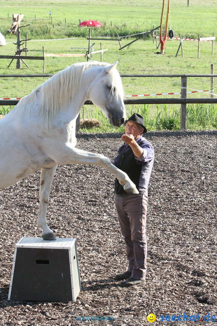 Hoffest auf der Criollo Ranch: Gailingen am Bodensee, 04.08.2012