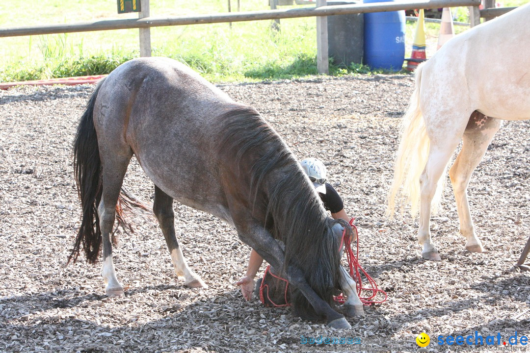 Hoffest auf der Criollo Ranch: Gailingen am Bodensee, 04.08.2012