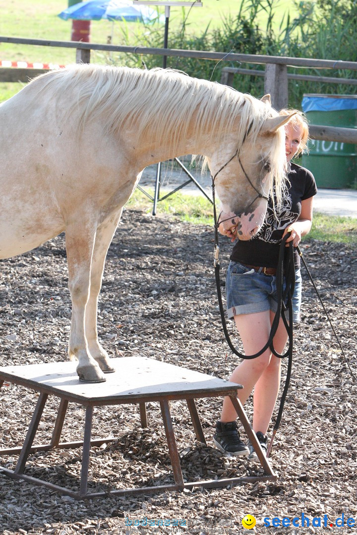 Hoffest auf der Criollo Ranch: Gailingen am Bodensee, 04.08.2012