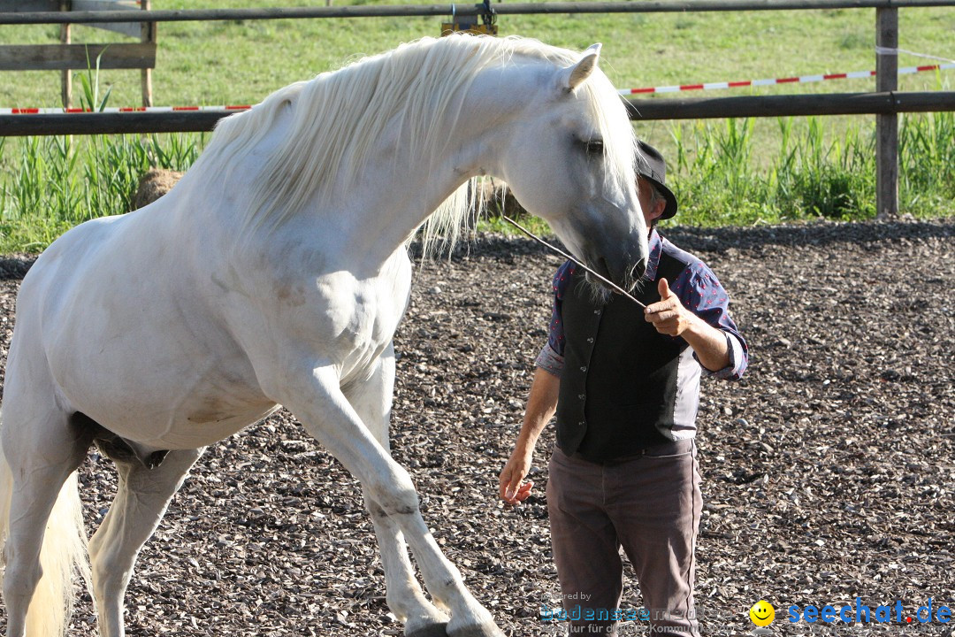 Hoffest auf der Criollo Ranch: Gailingen am Bodensee, 04.08.2012