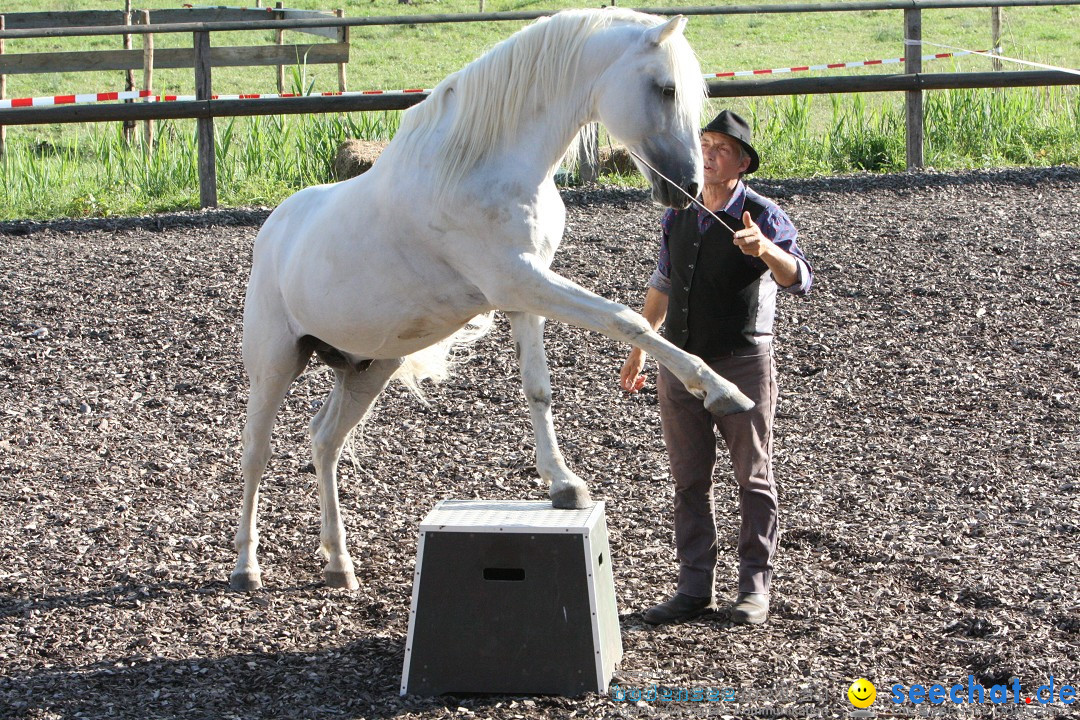 Hoffest auf der Criollo Ranch: Gailingen am Bodensee, 04.08.2012