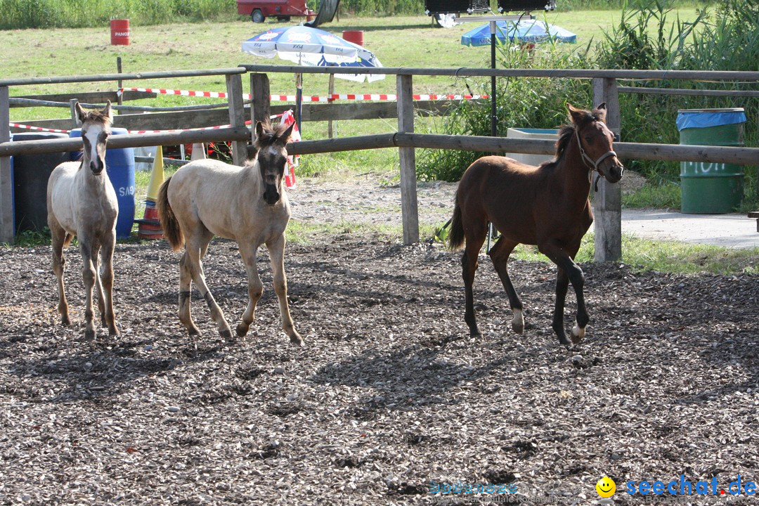 Hoffest auf der Criollo Ranch: Gailingen am Bodensee, 04.08.2012