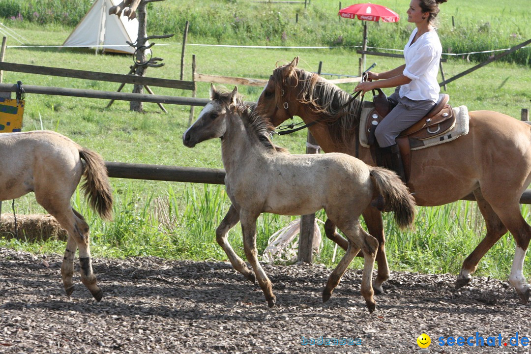 Hoffest auf der Criollo Ranch: Gailingen am Bodensee, 04.08.2012