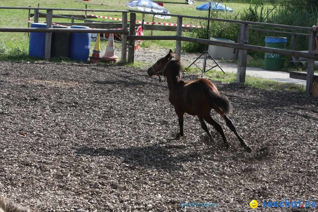 Hoffest auf der Criollo Ranch: Gailingen am Bodensee, 04.08.2012