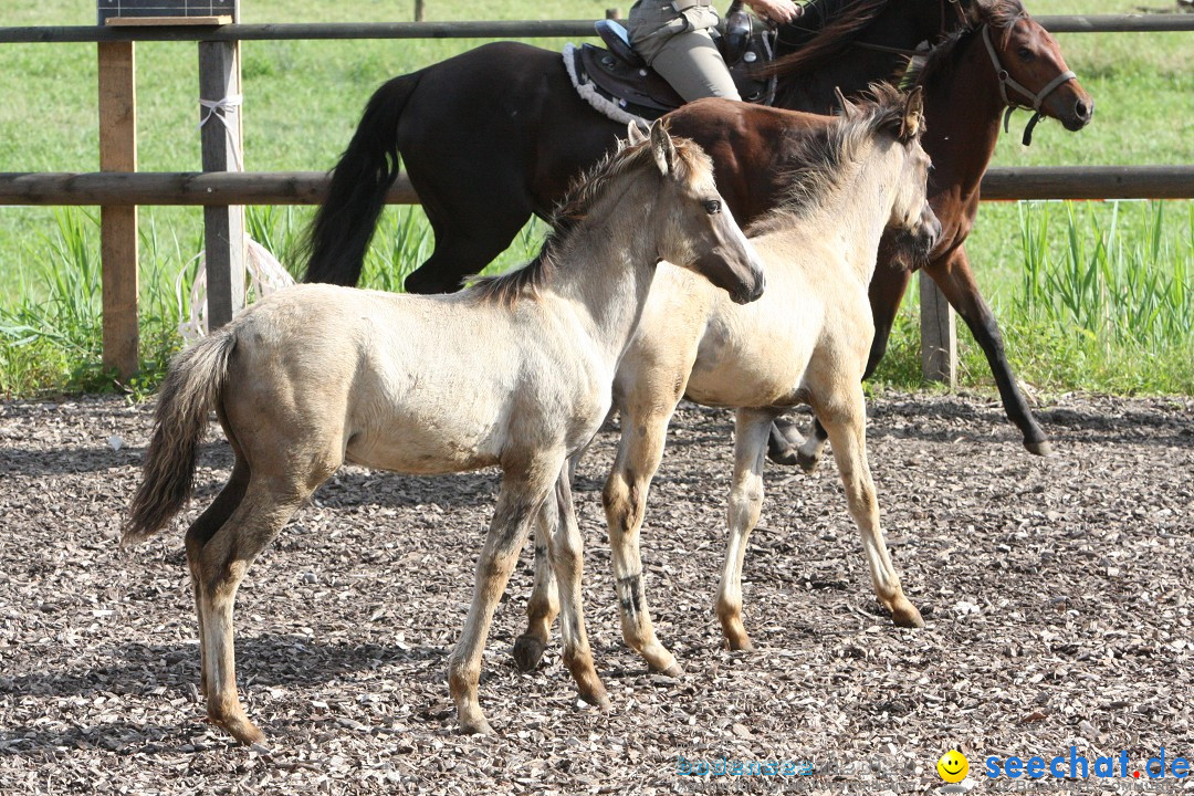 Hoffest auf der Criollo Ranch: Gailingen am Bodensee, 04.08.2012