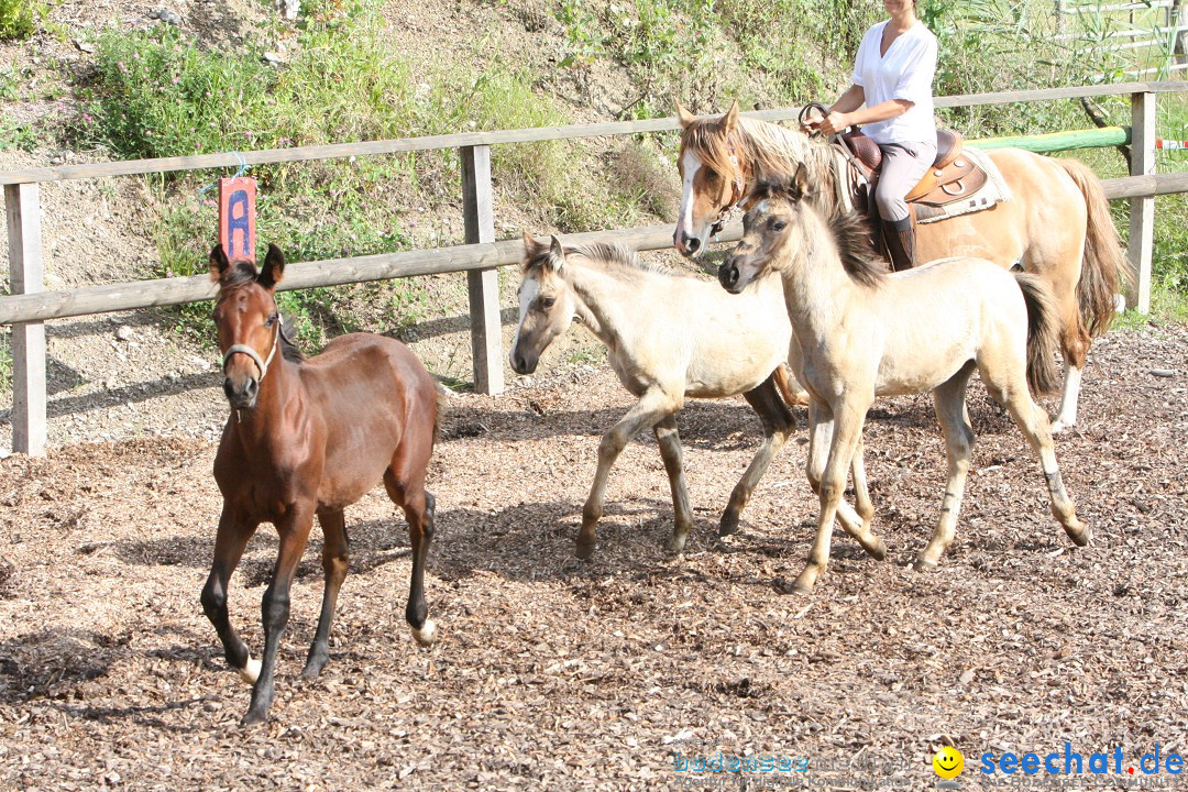 Hoffest auf der Criollo Ranch: Gailingen am Bodensee, 04.08.2012