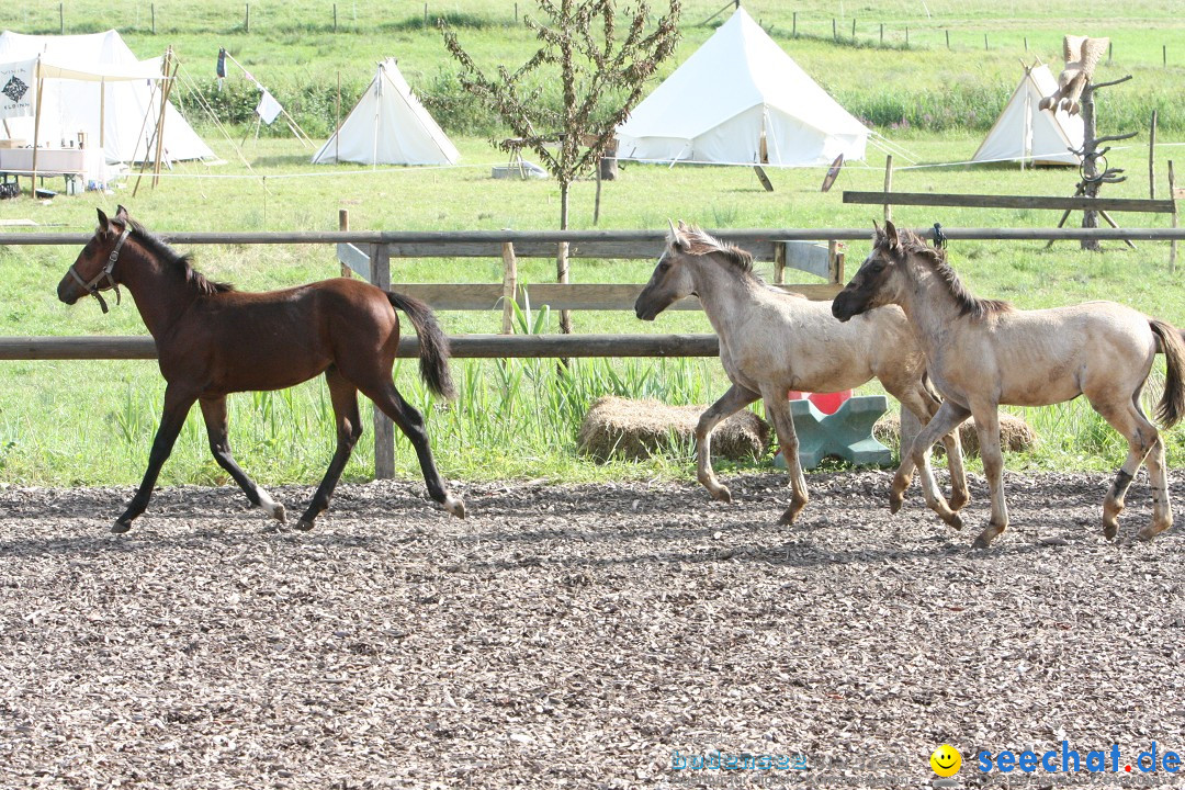 Hoffest auf der Criollo Ranch: Gailingen am Bodensee, 04.08.2012