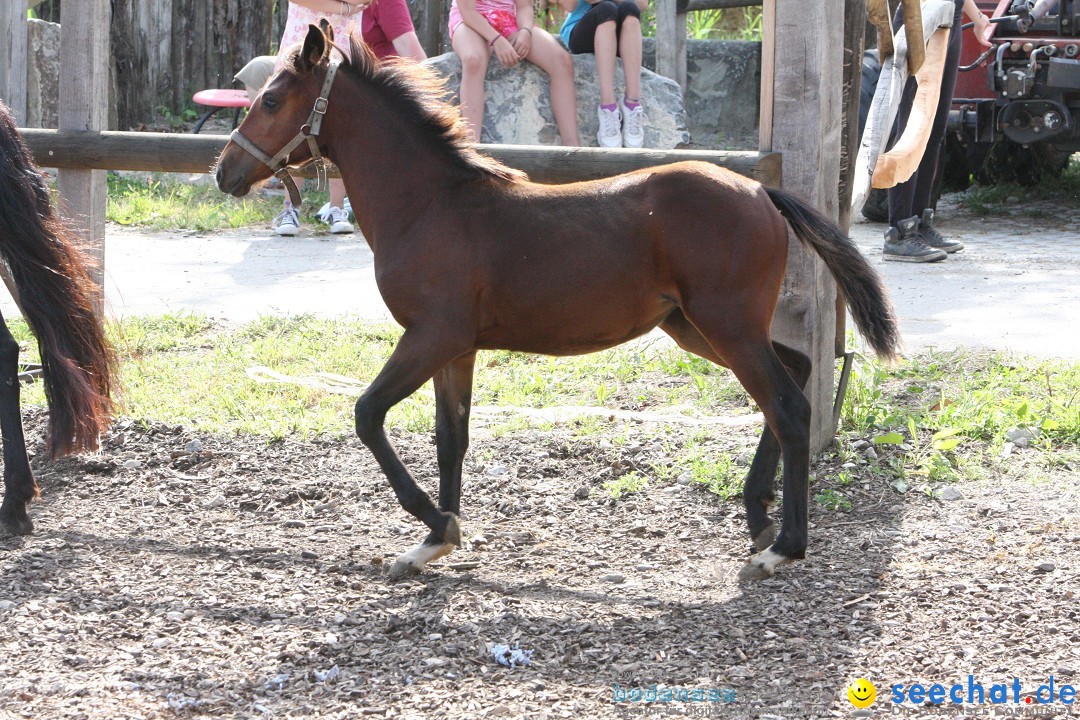 Hoffest auf der Criollo Ranch: Gailingen am Bodensee, 04.08.2012