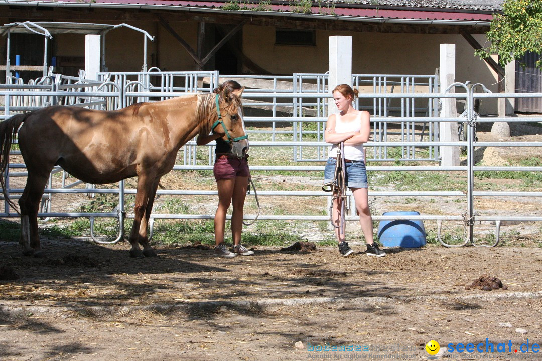 Hoffest auf der Criollo Ranch: Gailingen am Bodensee, 04.08.2012