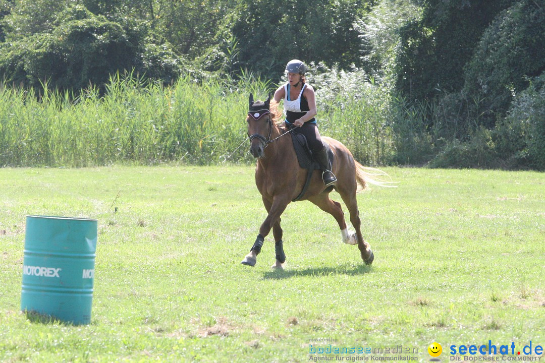 Hoffest auf der Criollo Ranch: Gailingen am Bodensee, 04.08.2012