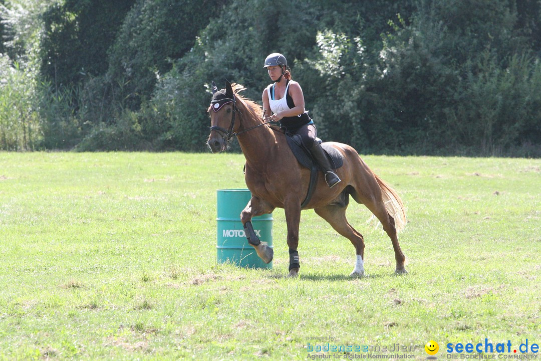 Hoffest auf der Criollo Ranch: Gailingen am Bodensee, 04.08.2012