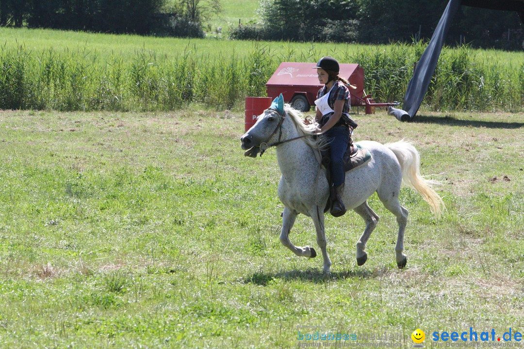 Hoffest auf der Criollo Ranch: Gailingen am Bodensee, 04.08.2012