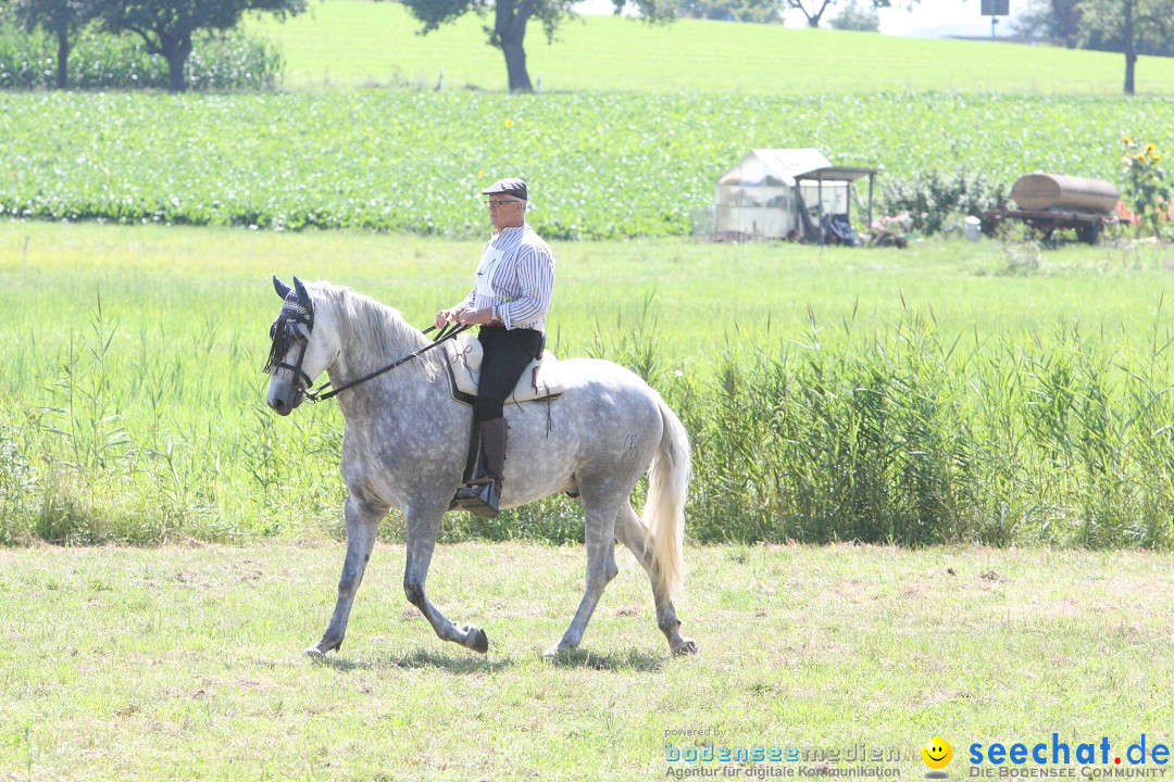 Hoffest auf der Criollo Ranch: Gailingen am Bodensee, 04.08.2012