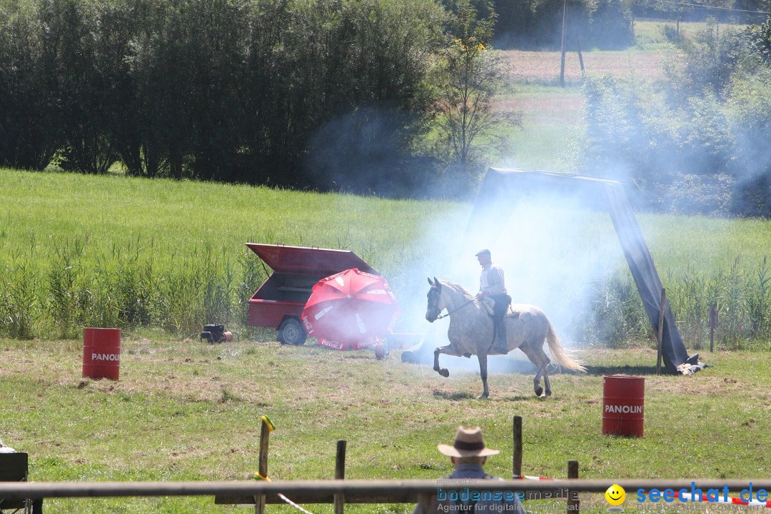 Hoffest auf der Criollo Ranch: Gailingen am Bodensee, 04.08.2012