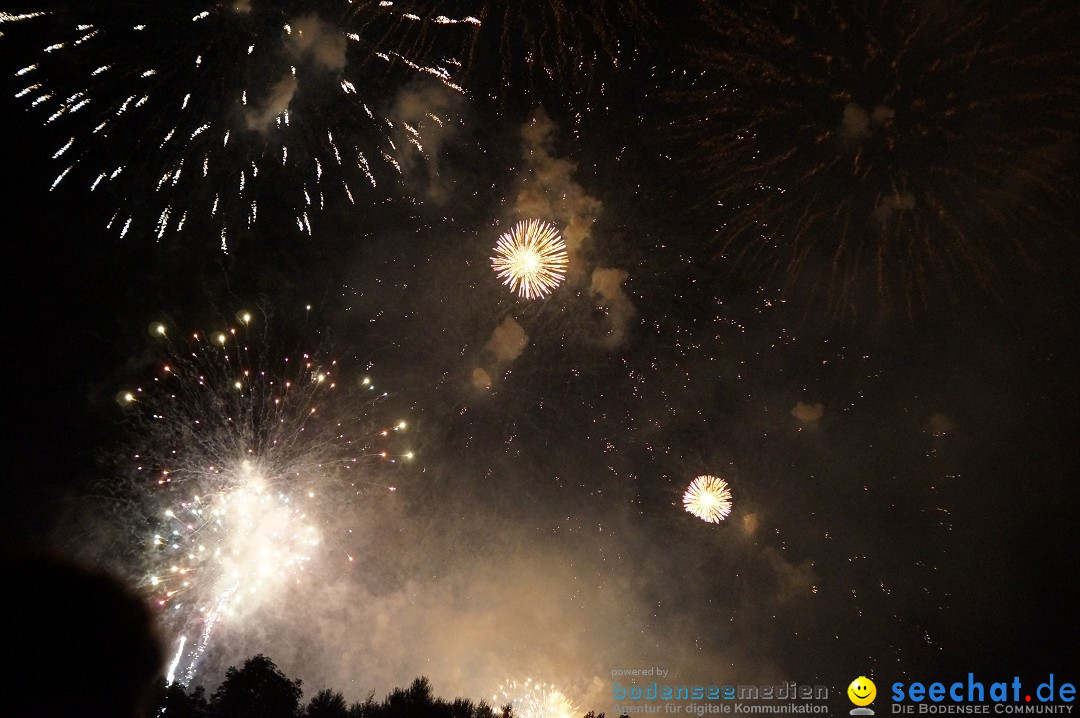 Feuerwerk - Seenachtfest 2012: Konstanz am Bodensee, 11.08.2012