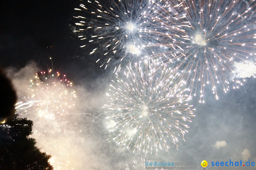 Feuerwerk - Seenachtfest 2012: Konstanz am Bodensee, 11.08.2012