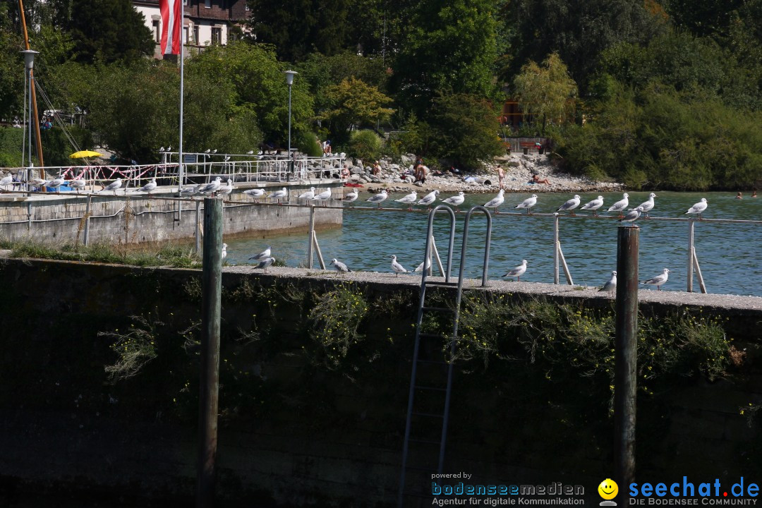 Bodenseerundfahrt: Meersburg - Unteruhldingen - Dingelsdorf, 20.08.2012