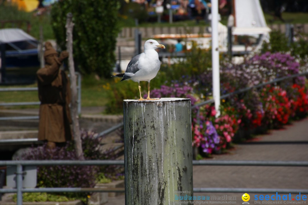 Bodenseerundfahrt: Meersburg - Unteruhldingen - Dingelsdorf, 20.08.2012