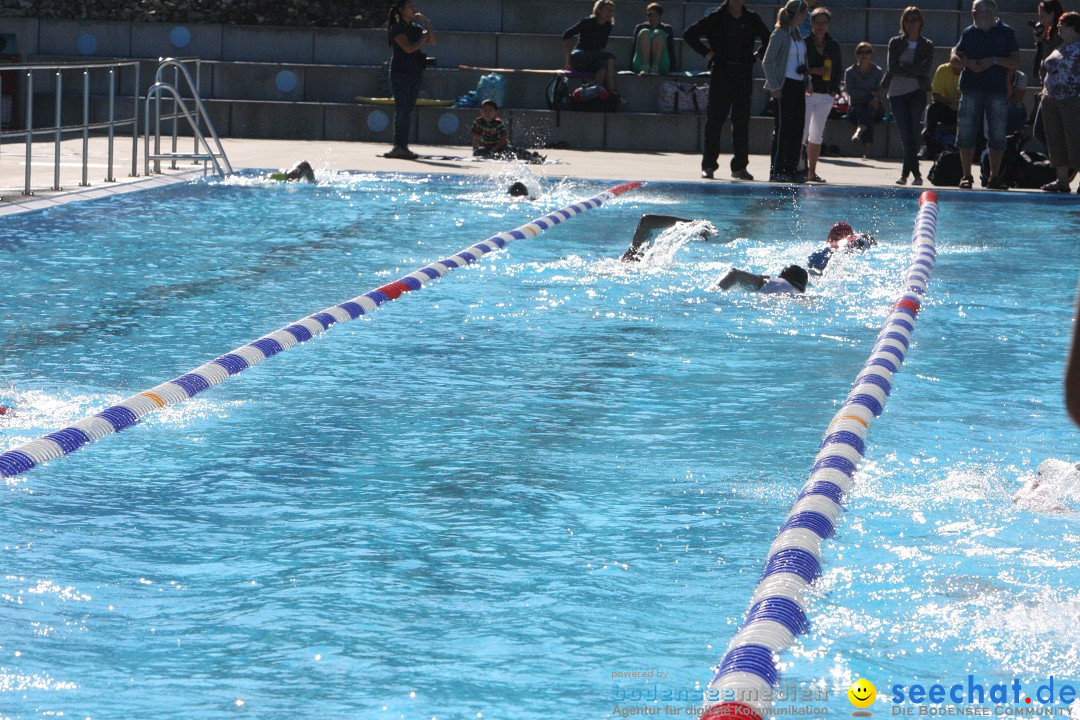 28. Stockacher Triathlon: Stockach am Bodensee, 08.09.2012