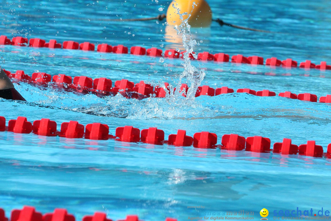 28. Stockacher Triathlon: Stockach am Bodensee, 08.09.2012