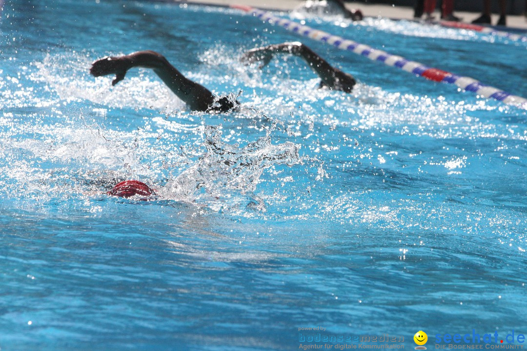 28. Stockacher Triathlon: Stockach am Bodensee, 08.09.2012