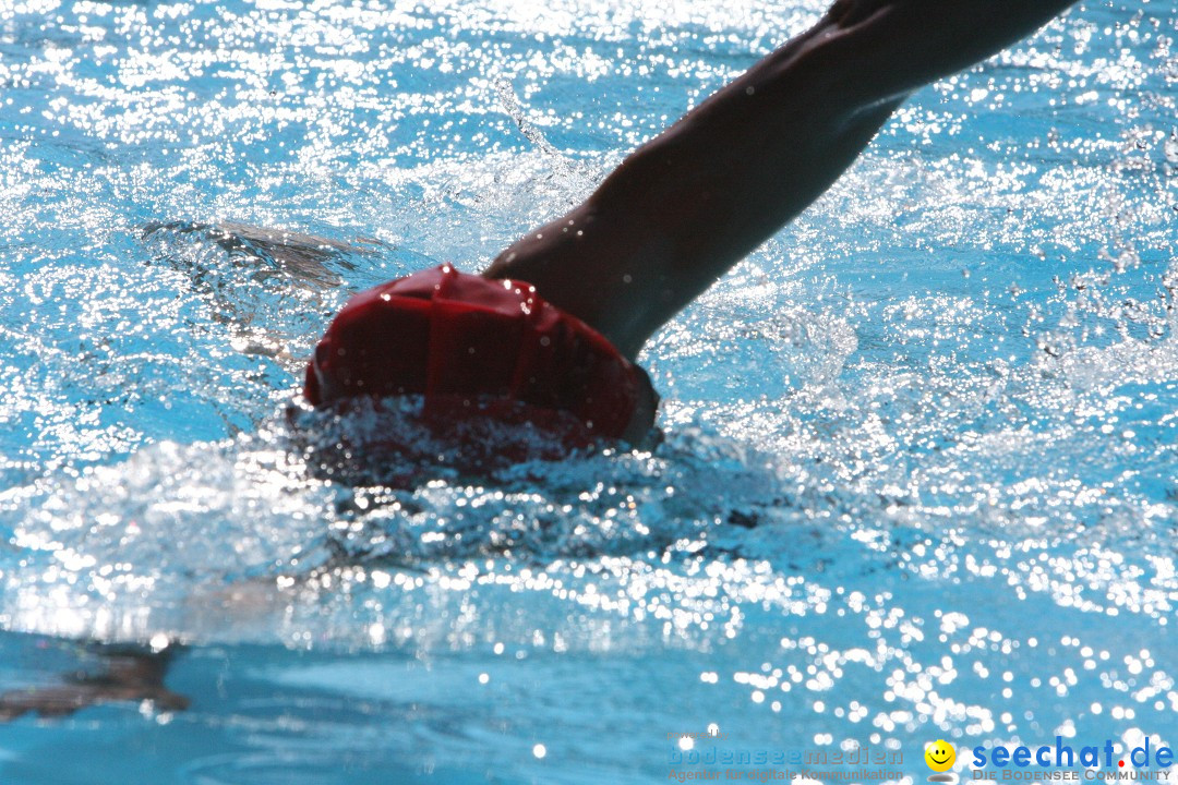 28. Stockacher Triathlon: Stockach am Bodensee, 08.09.2012