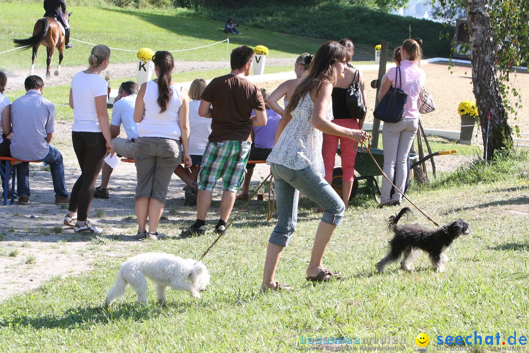 40. Reitturnier: Bodenseereiter: Radolfzell am Bodensee, 09.09.2012