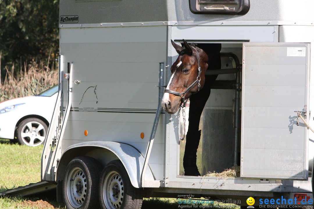 40. Reitturnier: Bodenseereiter: Radolfzell am Bodensee, 09.09.2012