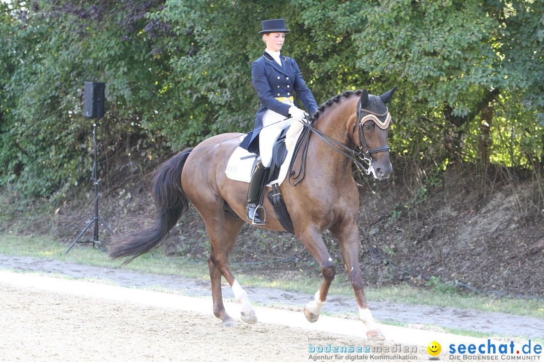 40. Reitturnier: Bodenseereiter: Radolfzell am Bodensee, 09.09.2012