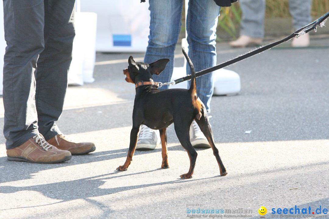 Schueler-Bodensee-Firmenlauf-Radolfzell-210912-Bodensee-Community-SEECHAT_DE-IMG_0034.JPG