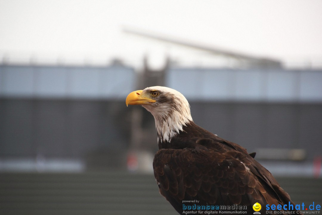 Photokina-Messe-Koeln-220912-Bodensee-Community-SEECHAT_DE-_141.jpg