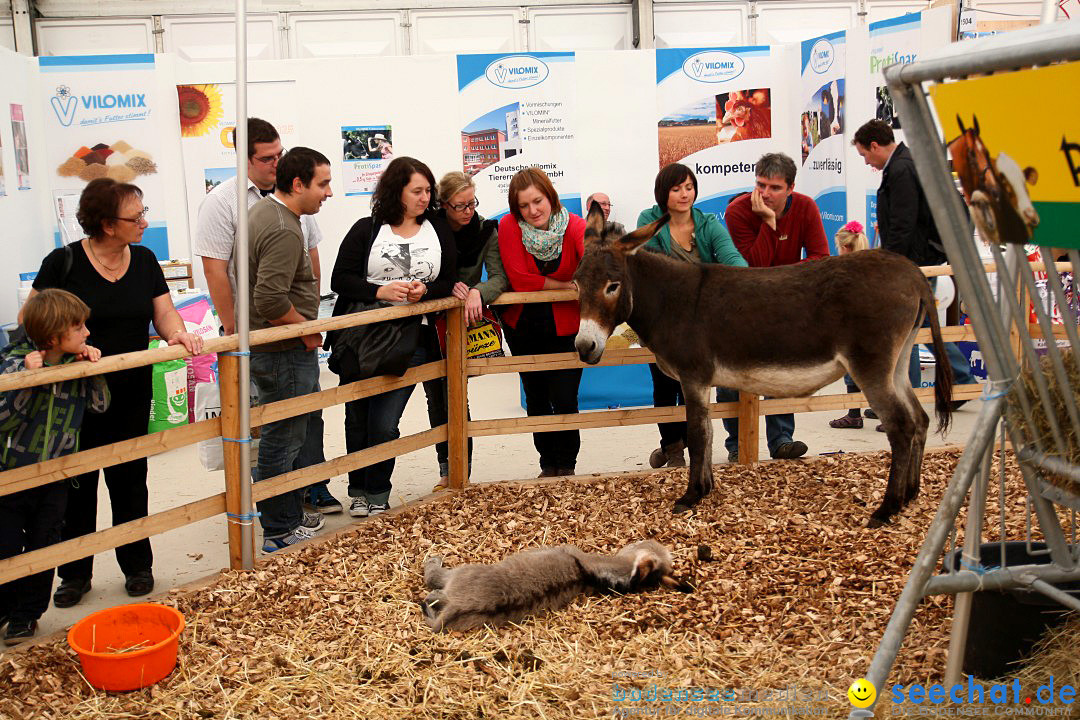 Oberschwabenschau 2012: DIE Messe in Oberschwaben: Ravensburg, 14.10.2012